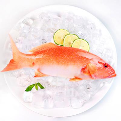 一统经典海鲜588型 提货券/礼盒江浙沪顺丰包邮2020年货团购